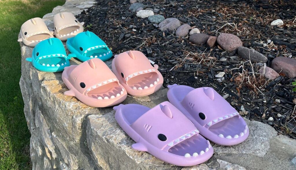 Shark Slides
