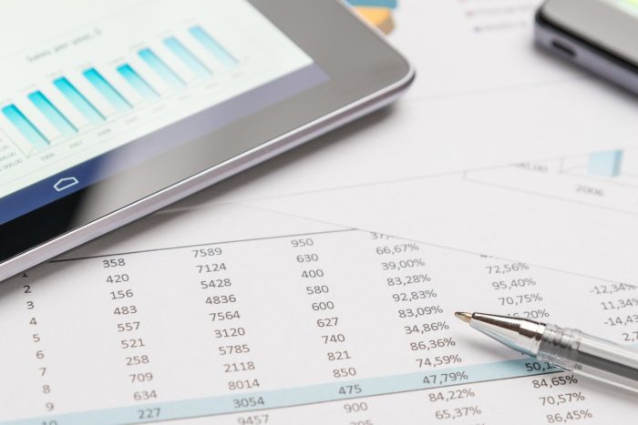profit and loss statement